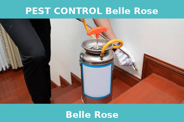 PEST CONTROL Belle Rose